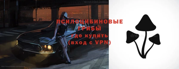 марки lsd Белокуриха