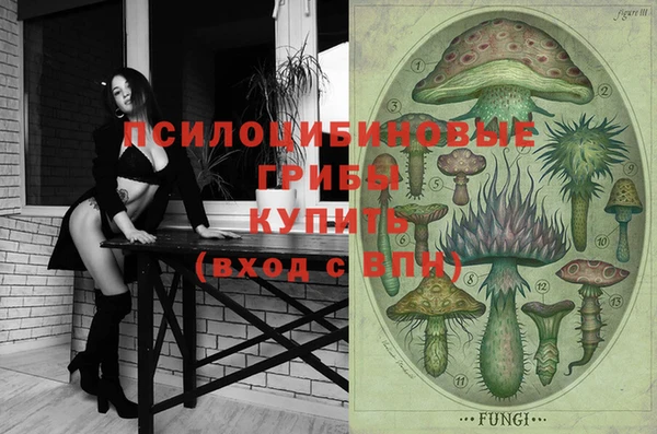 гашик Балахна