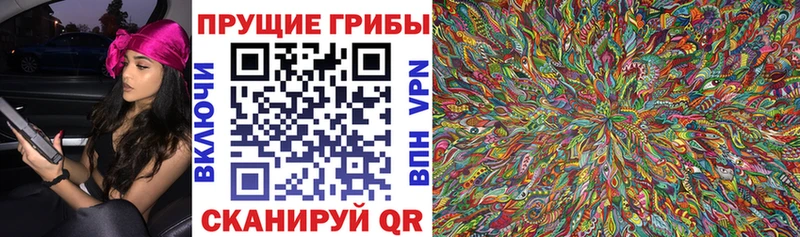 OMG ссылка  Кемерово  Псилоцибиновые грибы MAGIC MUSHROOMS  дарнет шоп 